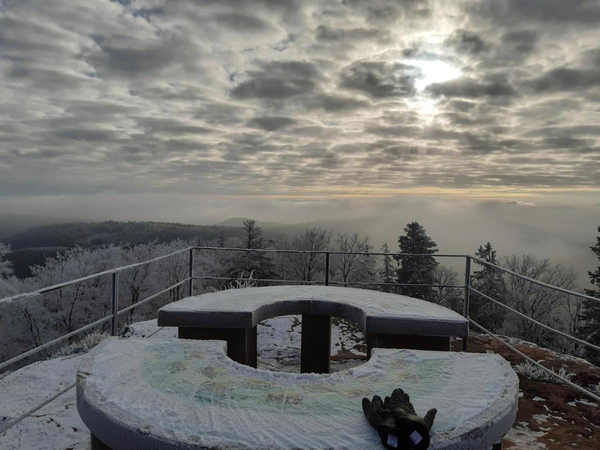 La Petite Halte Villa Lemberg Bagian luar foto